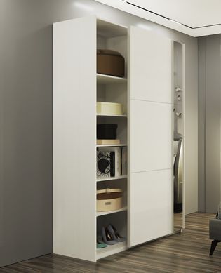 Шкаф-купе G-Caiser 160x240x60 1ДСП/1зеркало Белый/Белый (Дорос)