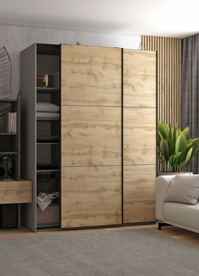 Шкаф-купе G-Caiser 160x240x60 2ДСП Графит/Дуб эвок (Дорос)