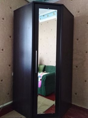 Шафа кутова з дзеркалом Токіо Венге (Меблі Сервіс)