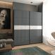 Шкаф-купе G-Caiser 220x240x60 2ДСП Графит/Графит-вставка Бетон (Дорос)