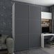 Шкаф-купе G-Caiser 180x240x60 2ДСП Белый/Графит (Дорос)