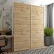 Шкаф-купе G-Caiser 180x240x60 2ДСП Белый/Дуб эвок (Дорос)