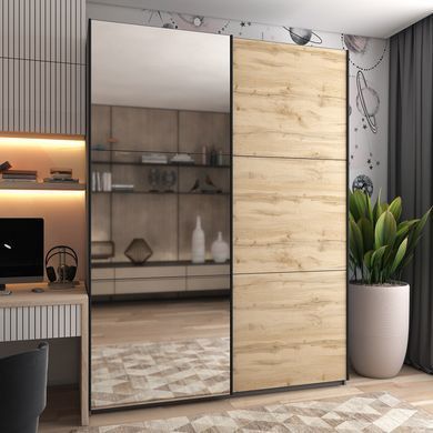 Шкаф-купе G-Caiser 180x240x60 1ДСП/1зеркало Графит/Дуб эвок (Дорос)