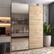 Шкаф-купе G-Caiser 180x240x60 1ДСП/1зеркало Графит/Дуб эвок (Дорос)