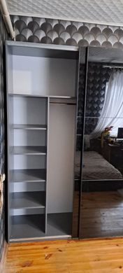 Шкаф-купе G-Caiser 180x240x60 2зеркала Графит (Дорос)
